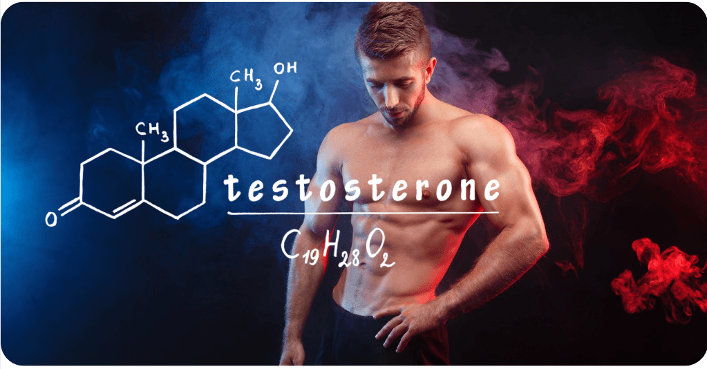 Testosteron muž (AjemFIT blog)